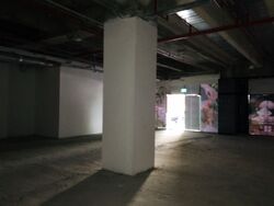 Grand Hyatt Singapore (D9), Shop House #441849871